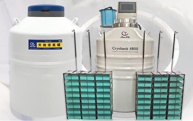 大口徑液氮儲存罐可以存放多少細胞？