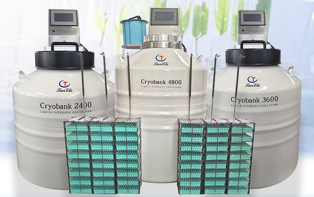1個小型氣液相液氮罐能儲存多少生物樣本？