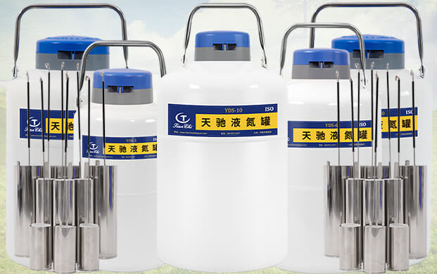 10升液氮罐能裝多少支凍精？